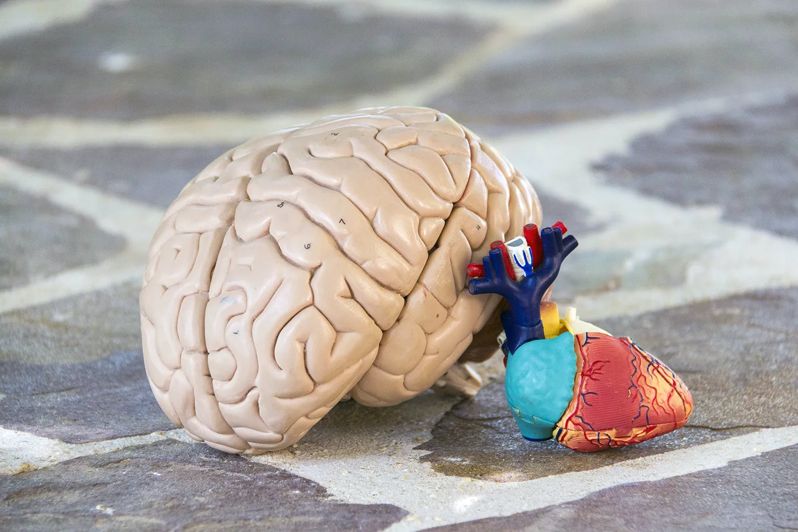 vero fajardo bernabeu